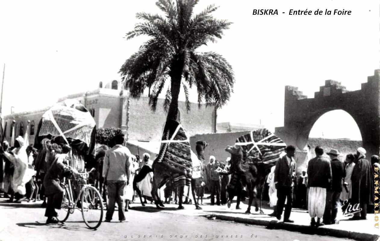 Biskra - Foire - Entree.jpg
